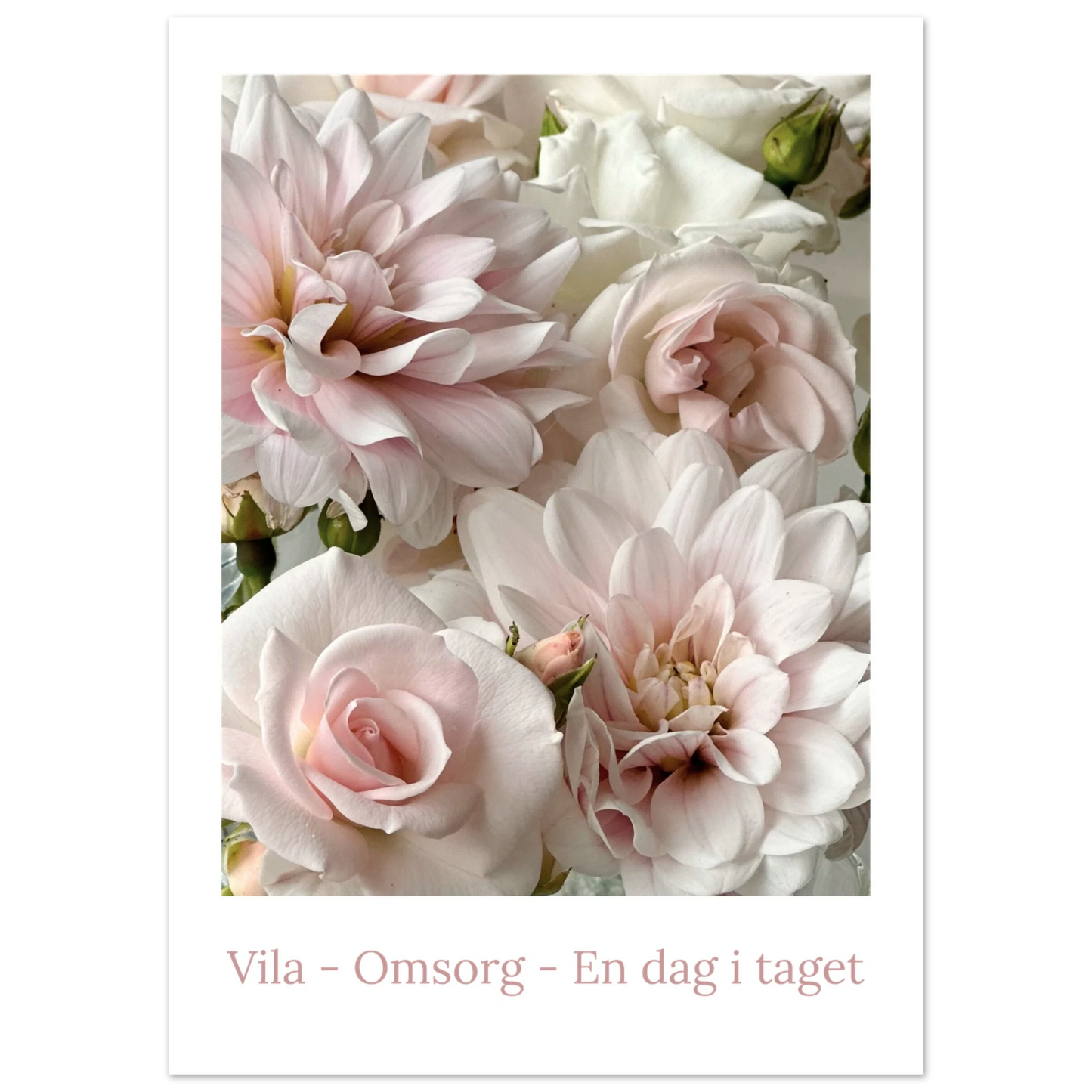 a6d49a71-17a5-4eba-b9cd-2e532fa179f0