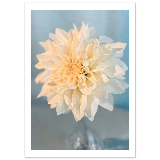 a7828efd-9b37-4514-bece-4d99356d1e5d