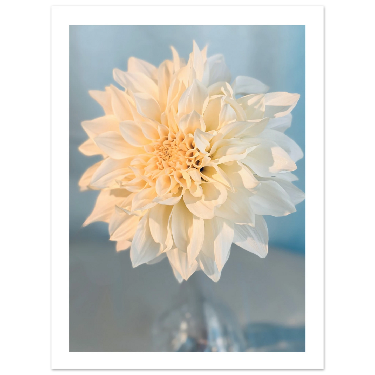 aada8434-282d-43ea-bcd6-e278a6301961