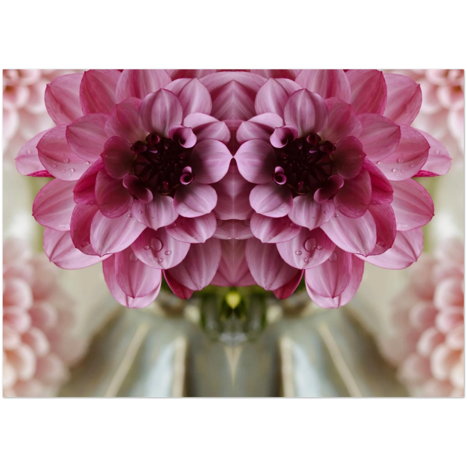 b540d85d-1e40-4f70-8a6b-5216779032f0