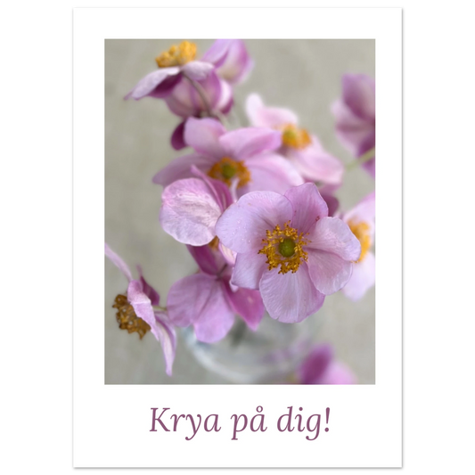 b5423647-02d6-4e92-8208-1d4bad6da527