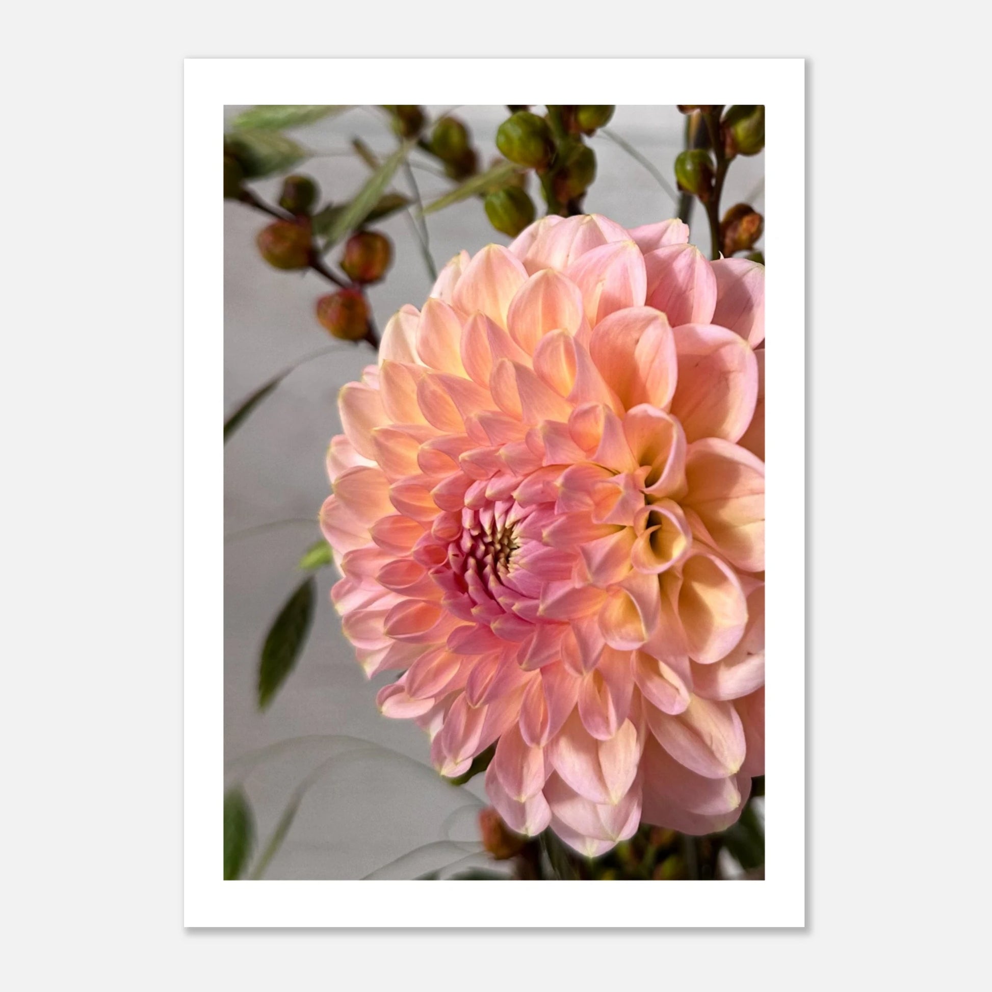 c3e4fafe-fa93-442e-b22a-5ee7f643215b