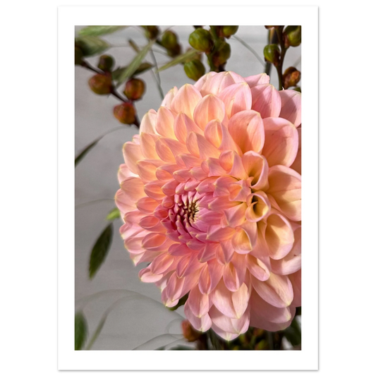 c98670d1-4db7-4917-a0b9-5ae4bbd8678e