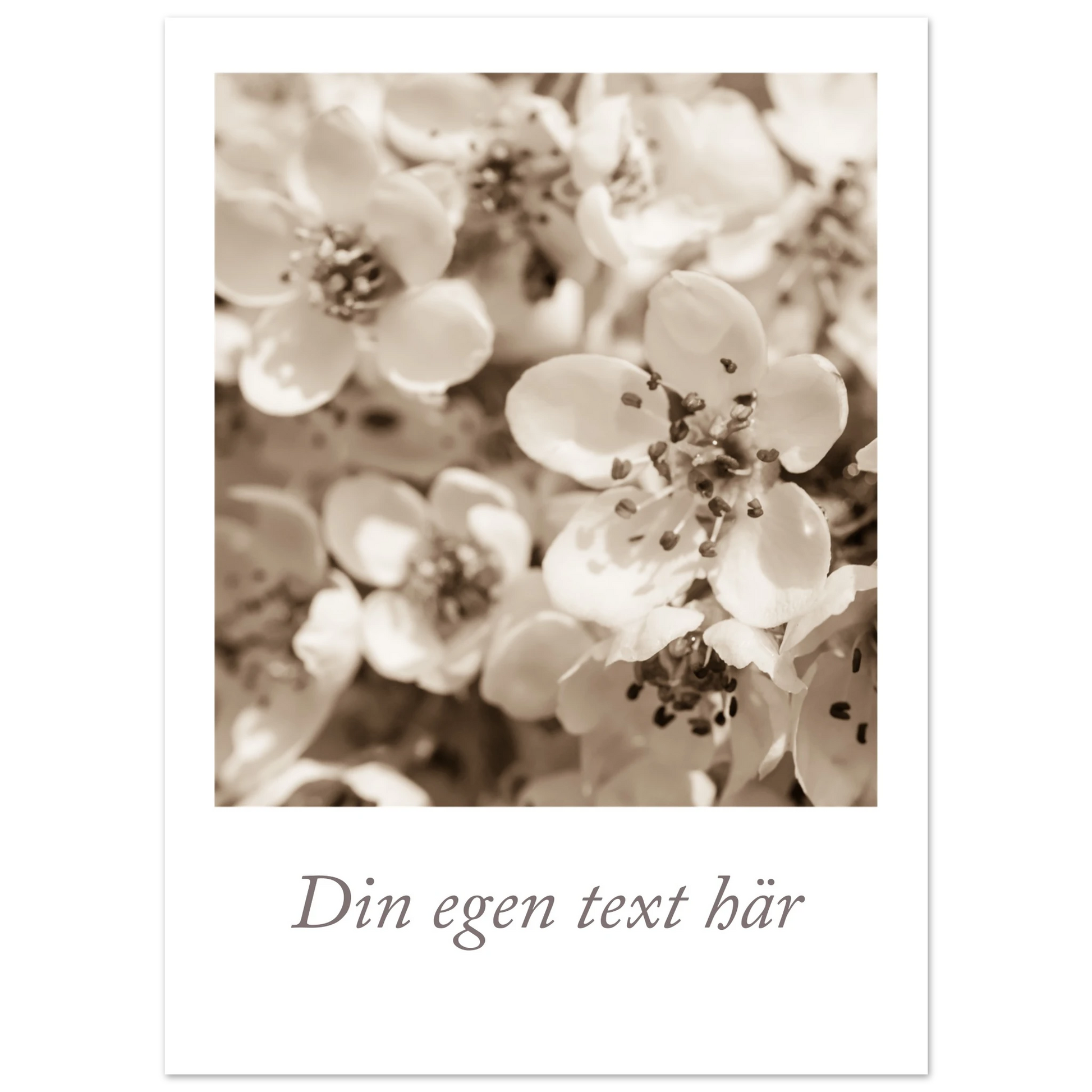 cad5c1cc-ee0a-48fe-b327-b968f0dc138d