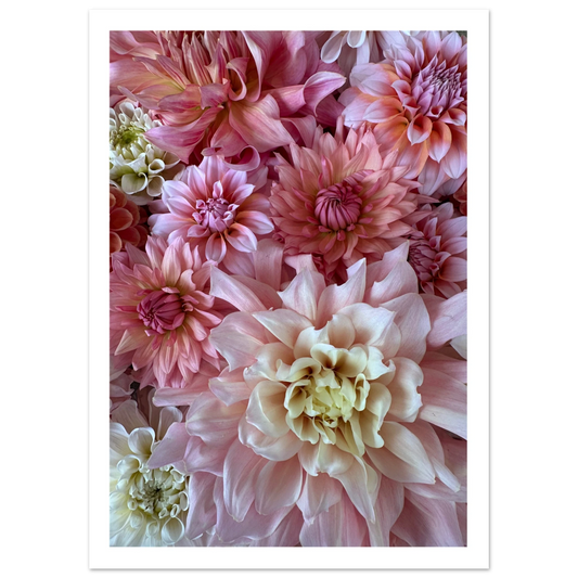 d86cc93f-3975-44da-9b2f-e6f208c03563