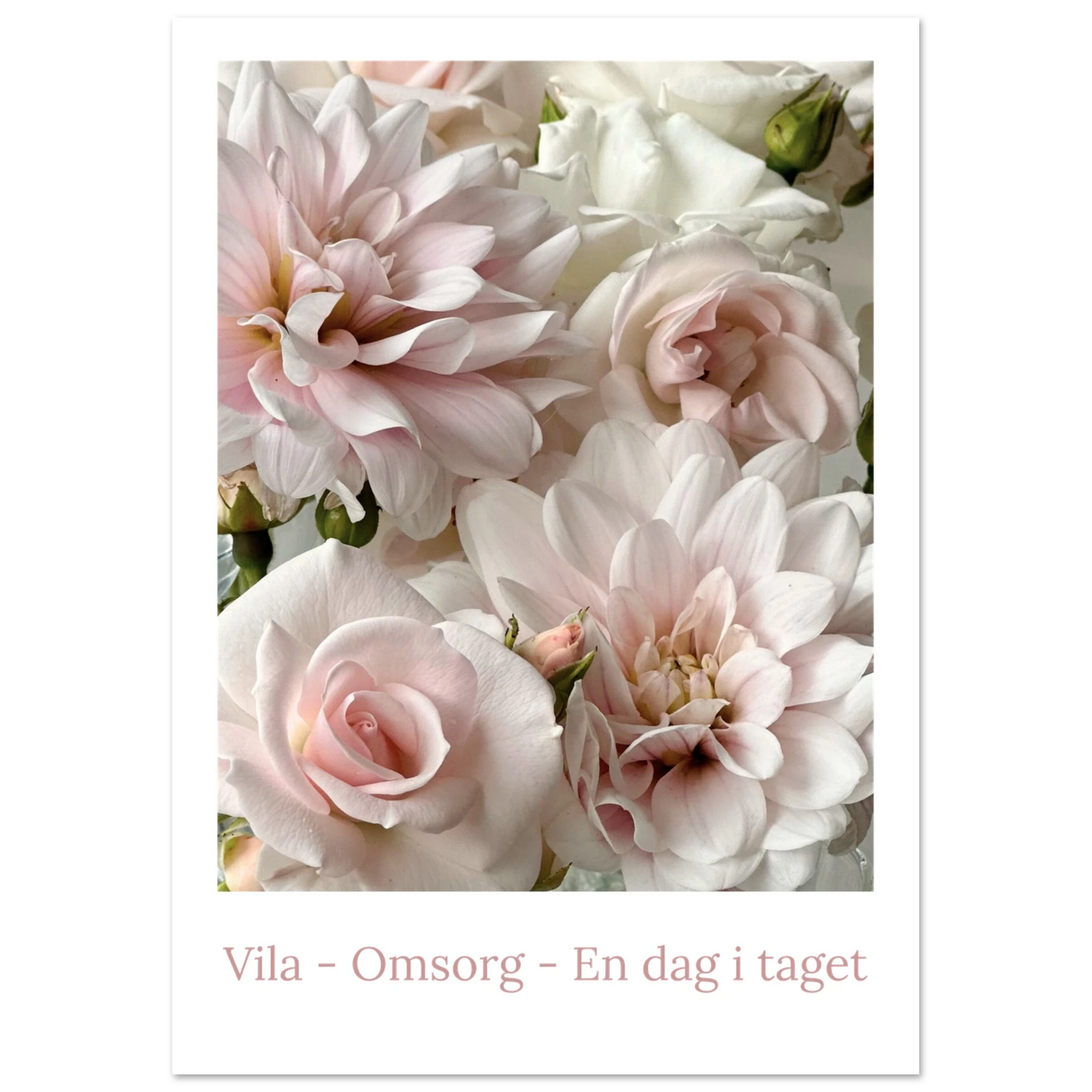 d8dfd2a7-9a4f-46e4-9d93-a7948e373d28