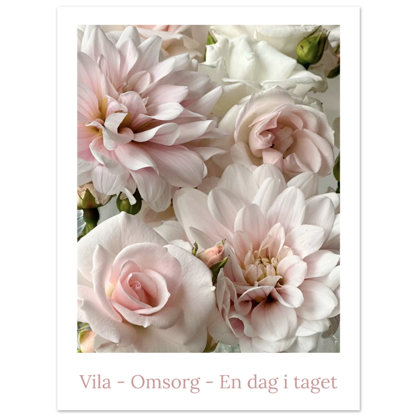 e867ab3d-c405-4094-98f9-8c2fb4b3b222