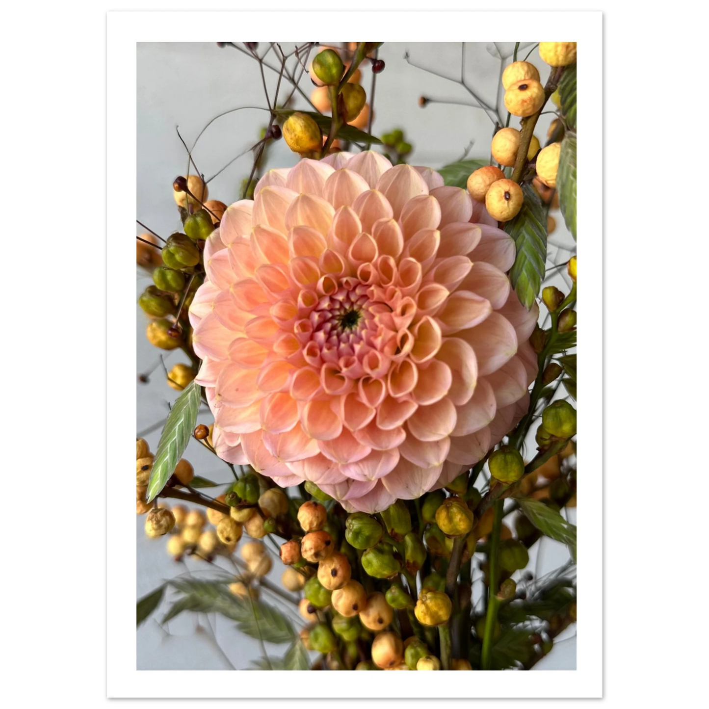 e991acc5-d57c-4b13-860f-596545c69c6b