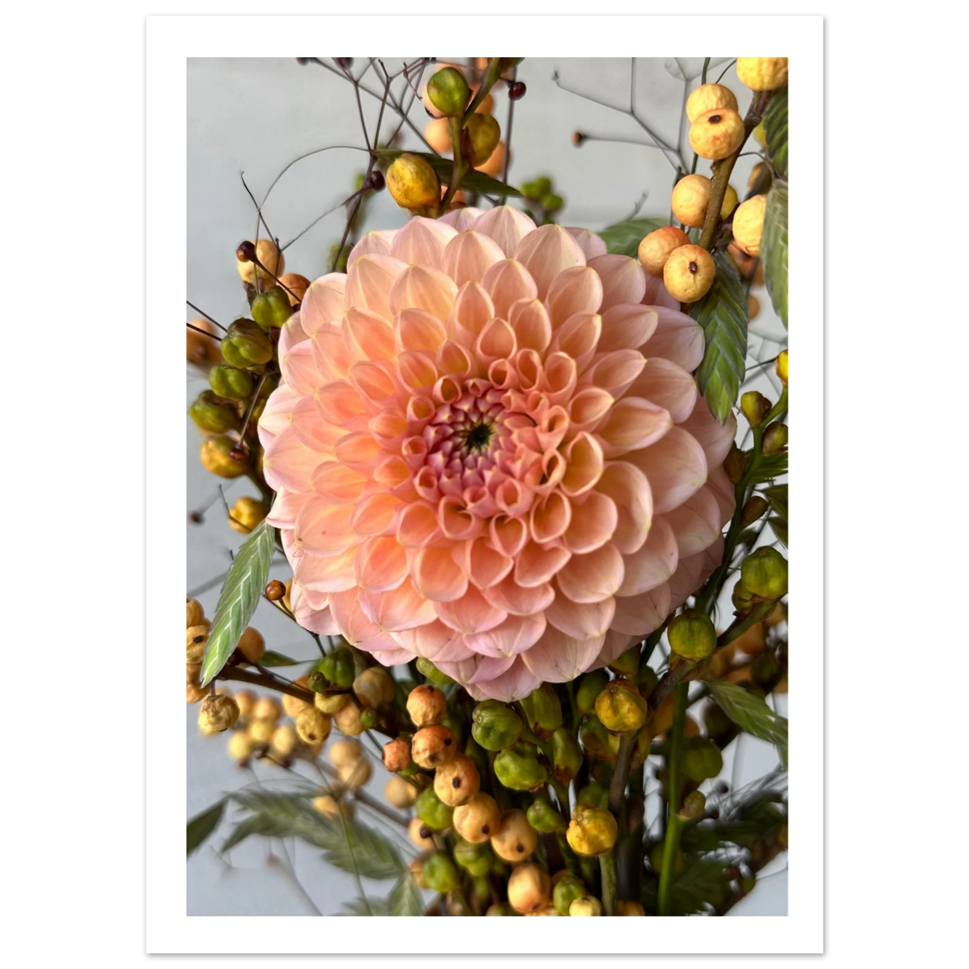 e991acc5-d57c-4b13-860f-596545c69c6b