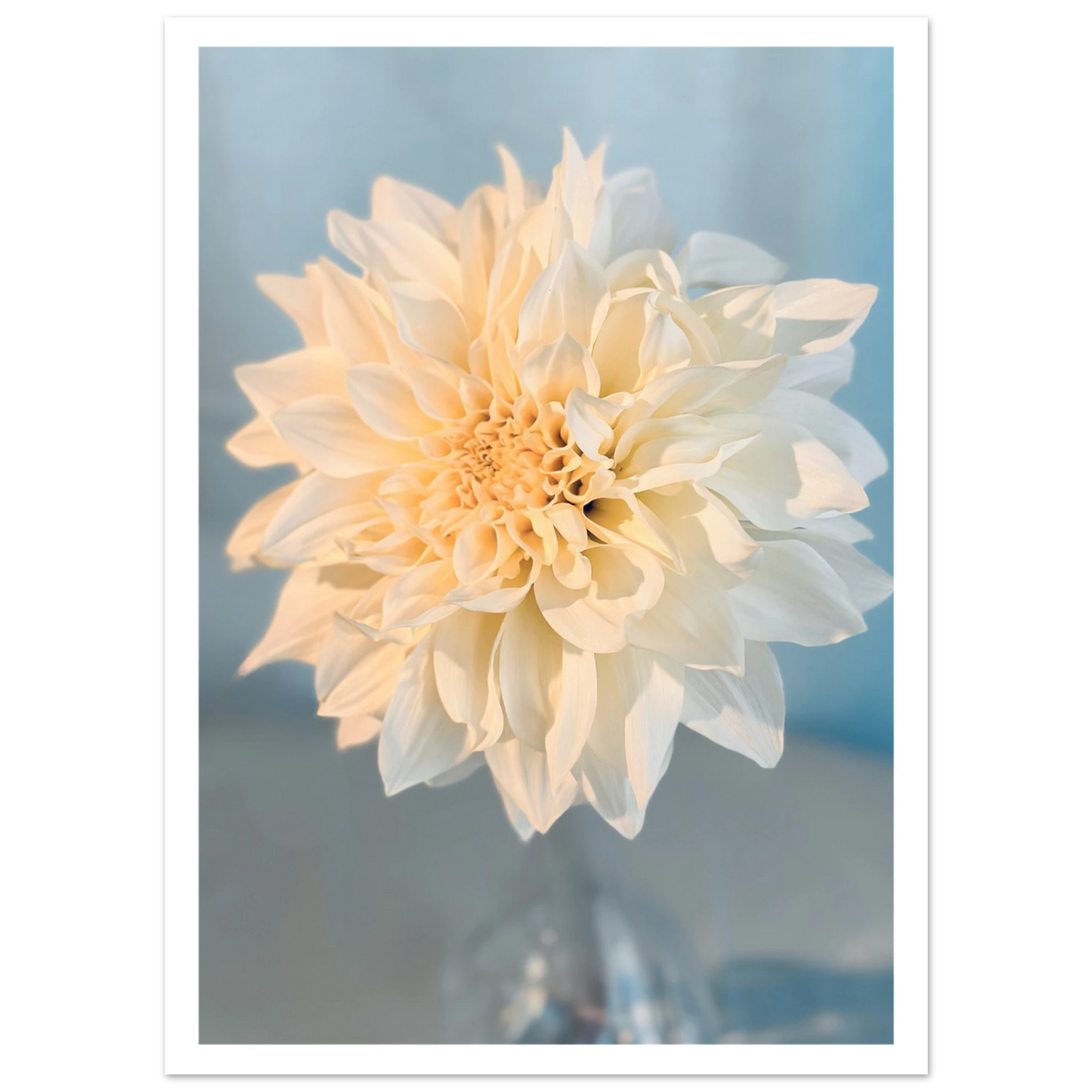 fbda0f44-eb2e-426d-bca0-ec327a68fd88