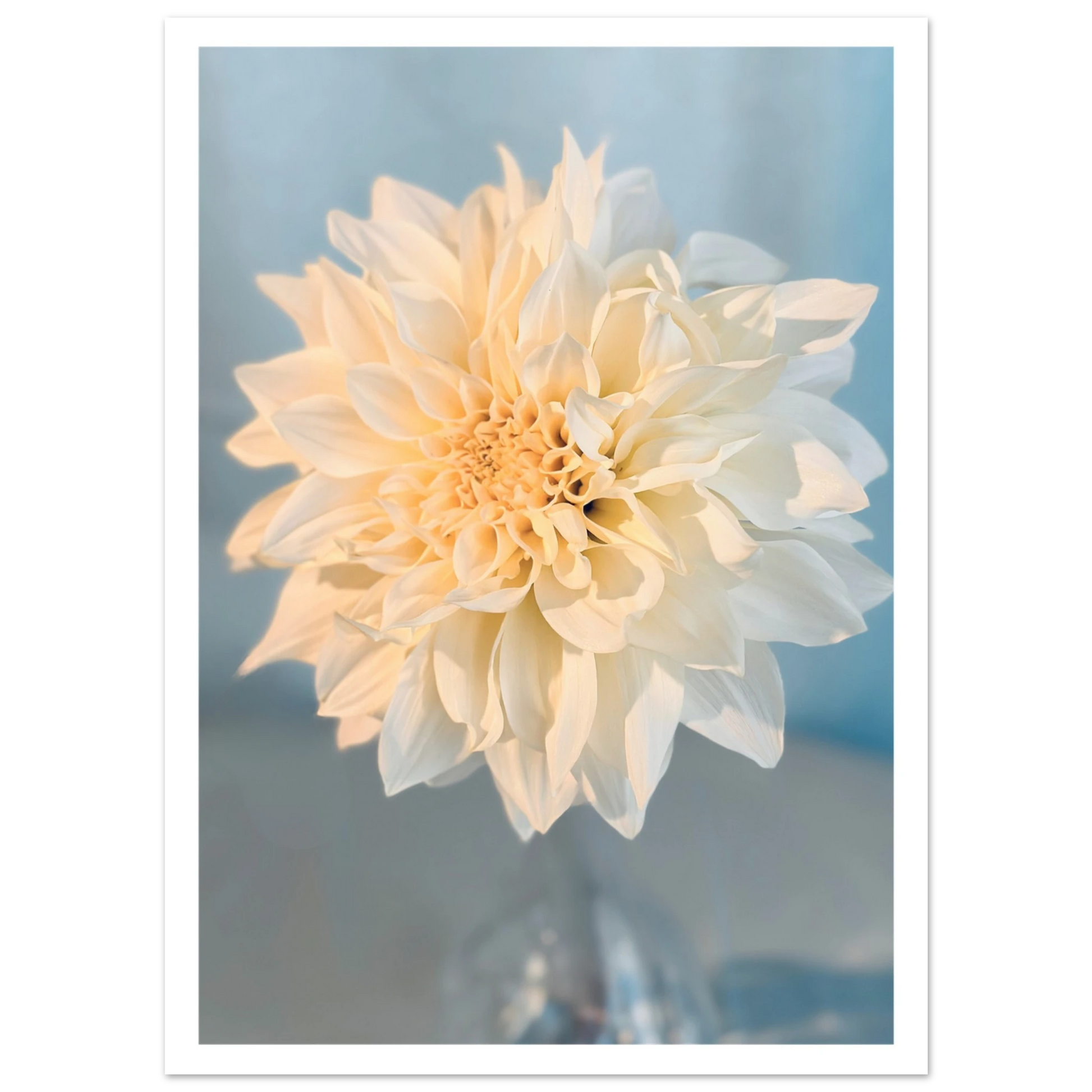 fbda0f44-eb2e-426d-bca0-ec327a68fd88