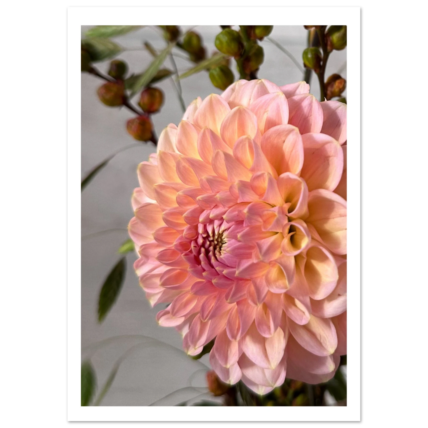 fe9c18c9-9082-4160-987b-b1e8a1de60a3