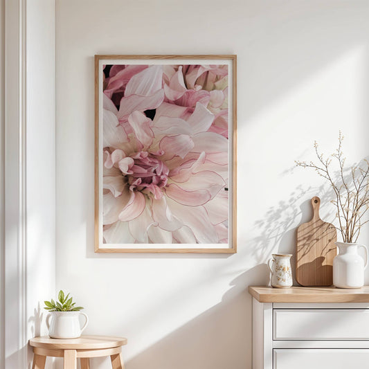 Tusen rörelser i en och samma Dahlia
